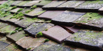Henley On Thames roof repair costs